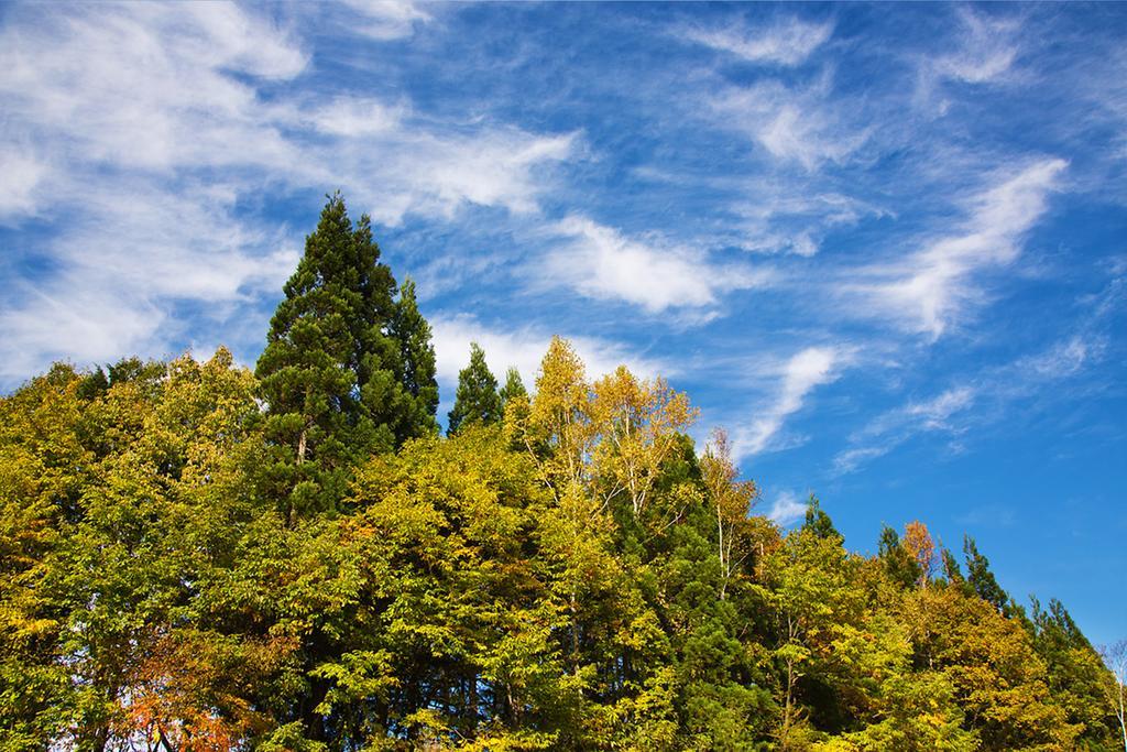 Resort Villa Takayama Takajama Exteriér fotografie